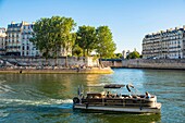 France, Paris, area listed as World Heritage by UNESCO, rental boat in front of Ile de la Cite\n
