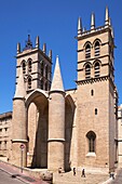 France, Herault, Montpellier, historic center, the Ecusson, the Saint Pierre Cathedral, the Urbain V and St. Benoit towers\n