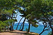 Frankreich, Herault, Marseillan, Bellevue, dominanter Blick auf die Lagune