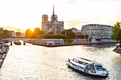France, Paris, area listed as World Heritage by UNESCO, Ile de la Cite, Notre Dame de Paris and a batobus\n