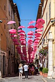 France, Alpes-Maritimes, Grasse, historic center, pink umbrellas in Jean Ossola street\n