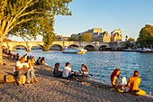France, Paris, area listed as World Heritage by UNESCO, the quays and the Pont Neuf\n