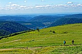 France, Vosges, Hautes Vosges, from Hohneck summit, Route des Cretes, view of Xonrupt and Longemer lake\n