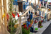 France, Somme, Somme Bay, Saint Valery sur Somme, At the time of the sea festivals, the district of Courtgain (the one where one gains little) which shelters the houses of the fishermen is decorated with nets fishing and gladioli\n