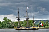 Frankreich, Seine Maritime, Armada von Rouen, die Armada von Rouen 2019 auf der Seine, die Fregatte Hermione, Schiff, das 1780 La Fayette erlaubte, sich den amerikanischen Aufständischen im Kampf für ihre Unabhängigkeit anzuschließen