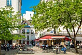 France, Paris, the Marais, Sainte Catherine market square\n