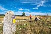 Frankreich, Haute-Loire, Umgebung von Chanaleilles, Wanderung entlang der Via Podiensis, einer der französischen Pilgerwege nach Santiago de Compostela oder GR 65, buron du Sauvage