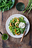 Pasta with asparagus, shrimp and burrata