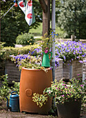 Flower containers in the summer garden