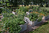 Hochbeete mit Gemüse und Blumen im Sommergarten