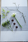 white amaryllis, yellow green eucalyptus, winter branch, green skimmia, dark brown christmas balls