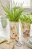 Herb pots with animal motifs and chives on a wooden table