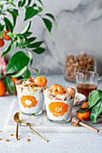 Clementinen-Chia-Pudding