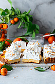 Clementine curd meringue tart