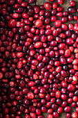 Cranberries