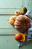 Pumpkin still life - butternut, yellow centner, hokkaido, acorn squash,