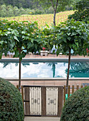 Blick auf Terrasse mit Pool und Weinberg im Hintergrund