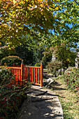 Japanese garden in autumn