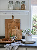 Wooden chopping boards, cake and plant on kitchen worktop in front of window