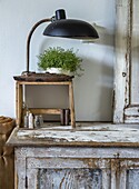 Shabby-Chic-Kommode mit Tischlampe und Grünpflanze