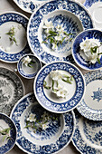 Jasmine flowers on blue and white plates