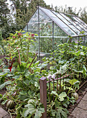 Greenhouse with vegetable garden