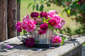 Rosa Blüten der Gallicarose (Rosa gallica) 'Versicolor' und 'Nuit de Young' in Etagere aus alten Kuchenformen