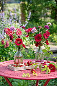 Rosa moyesii 'Geranium', rote Skabiosen (Scabiosa), und Scheinwaldmeister (Phuopsis stylosa) als Blumsträuße in Vasen und Erdbeeren auf Gartentisch