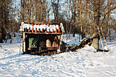 Verschneiter Bienenstand im winterlichen Wald