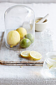 Glashaube mit Zitrone und Limette für Infusion