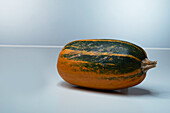 Arenborn Roller (pumpkin variety)