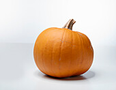 Orange Smoothie F1 (pumpkin variety from the USA)