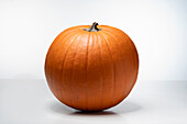 Magic Lantern F1 (pumpkin variety from the USA)