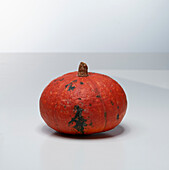 Muscat de Provence (pumpkin variety from France)