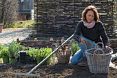 Bed border with herbs and cloves