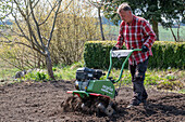 Soil preparation with hand tiller for potatoes