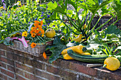 Erntedank, reife Zucchinifrüchte, Mangold auf Mauer und Ringelblumenstrauß im Korb