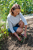 Soil preparation for second planting in July, woman weeding vegetable patch