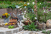 Gemüseernte von Tomaten, Zucchini, Zwiebeln (Allium Cepa) im Gemüsegarten neben blühenden Cosmea (Cosmos), Sonnenblumenstrauß und Katze