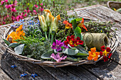 Tablett mit frisch geernteten essbaren Blüten und Kräutern, Kapuzinerkresse, Ringelblumen, Rosmarin, Salbei, Thymian , Wilde Malve (Malva sylvestris), Zucchini