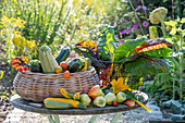 Gemüseernte von Paprika, Tomaten, Zucchini, Mangold in Körben und auf Gartentisch