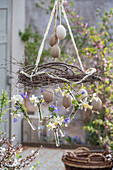 Hanging decoration made from Easter eggs, willow twigs, daffodils 'Sailboat', grape hyacinth 'Mountain Lady'