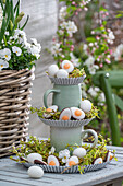 Horned violets (Viola cornuta) in flower basket and tiered cups with candy Easter eggs