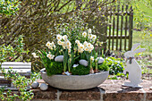Daffodils 'Bridal Crown' (Narcissus) and Irish moss (Sagina subulata) in a flower bowl with eggs and an Easter bunny on the patio