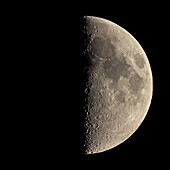 First quarter Moon