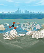 Ocean acidification, conceptual illustration