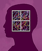 Window to the mind, conceptual illustration