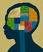Modular brain, conceptual illustration