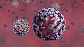 Covid-19 virus particles, illustration