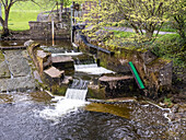 Eel pass and fish ladder